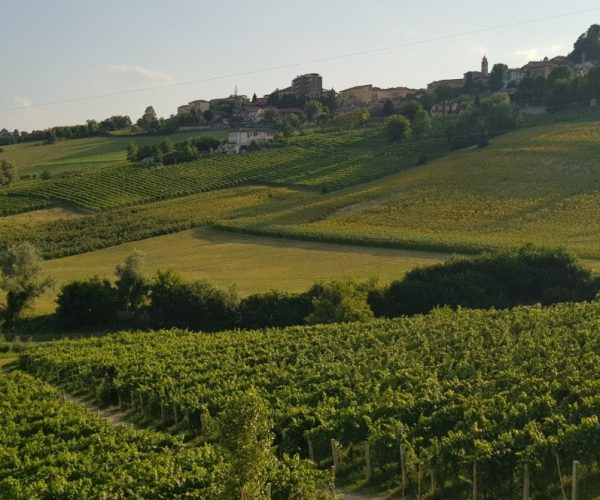 Un pomeriggio di primavera tra le colline astigiane