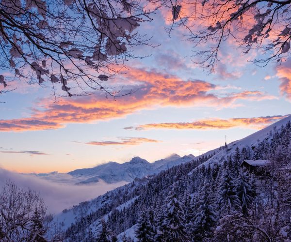 Oasi Zegna il parco naturale tra rododendri e panorami mozzafiato