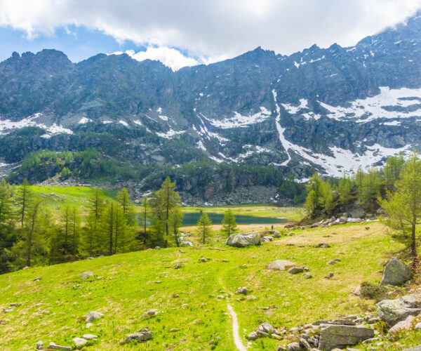 Il Parco Nazionale del Gran Paradiso nella Green List IUCN