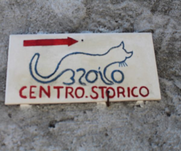 Un’ amante dei gatti ci accompagna a Brolo