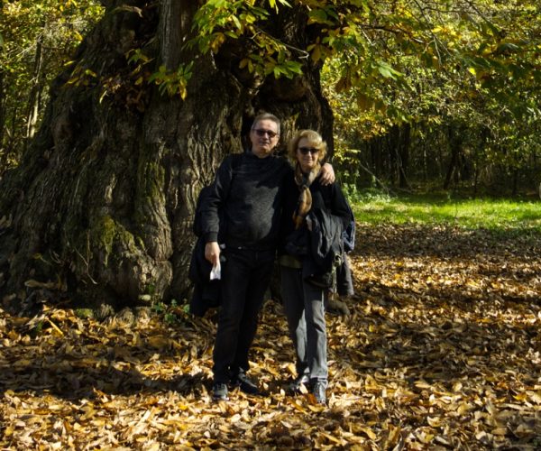 Il sentiero della Castagna Granda