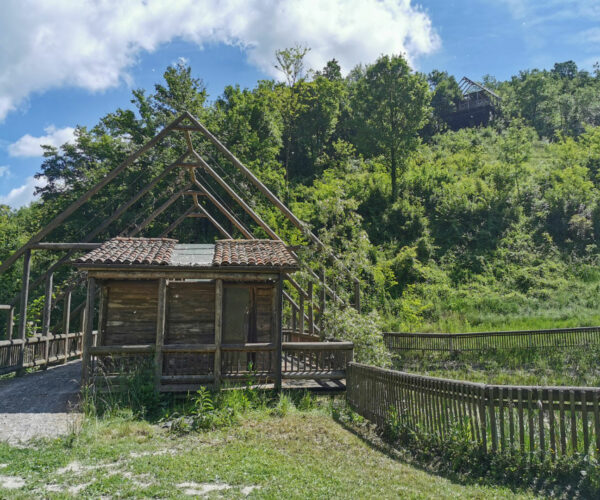 Il Parco Forestale dell’Alberone: un percorso alla scoperta della flora della collina del Monferrato
