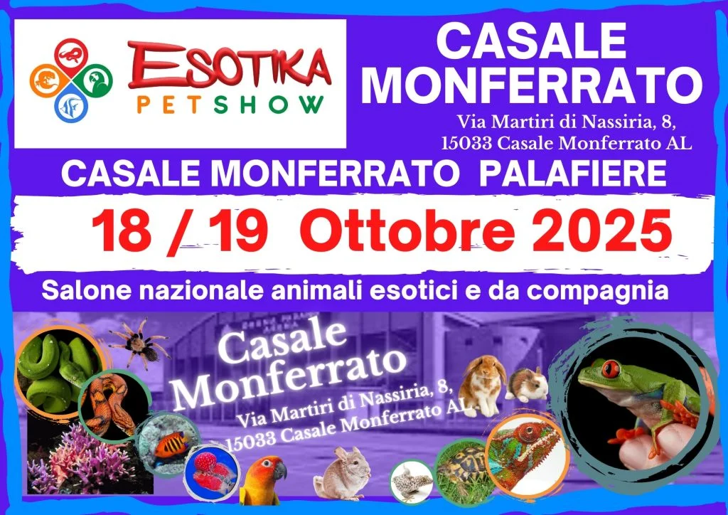 Esotika arriva a Casale Monferrato: un weekend tra rettili, pappagalli e animali rari