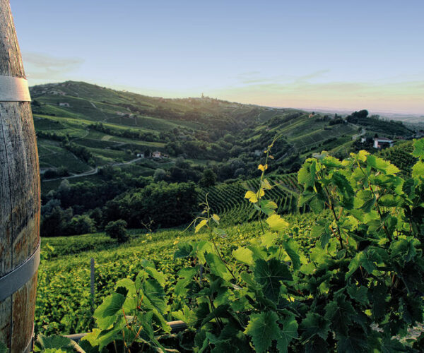 Il Piemonte Capitale Mondiale del Food?