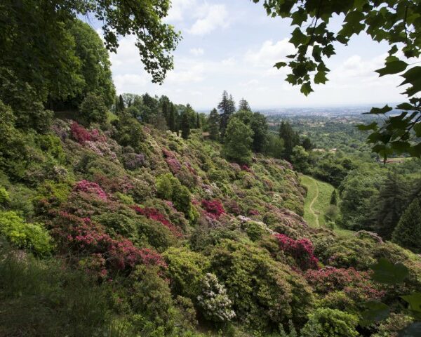 Il Parco della Burcina, un esplosione di colori della natura a due passi da Biella