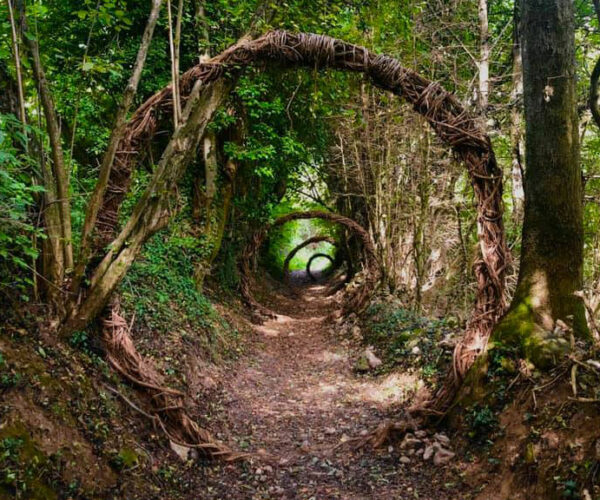 Il magico sentiero del Sarvanot