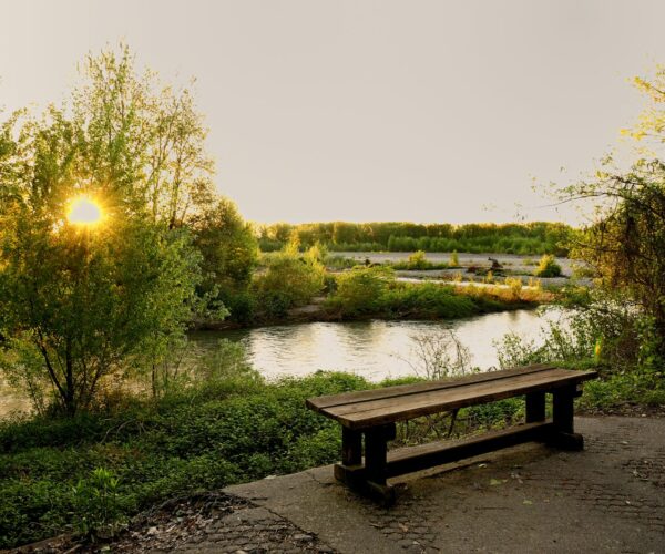 Le Lame del Sesia, un Parco Naturale tra acqua, piante e animali