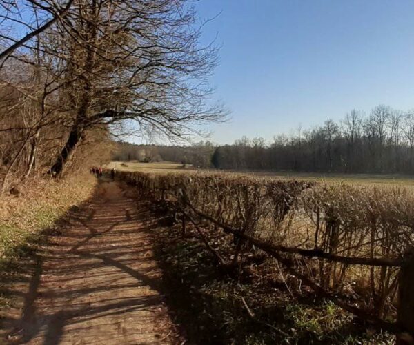 Il Parco dei Lagoni di Mercurago, un’oasi naturale da visitare e proteggere