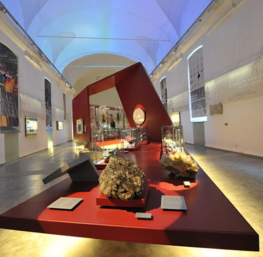 Una Notte al Museo… di Scienze Naturali di Torino