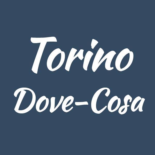 Torino Dove Cosa