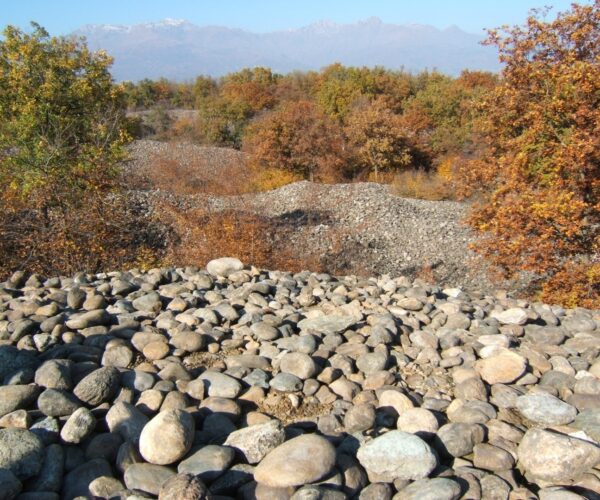 La Riserva Naturale Speciale della Bessa: una vera miniera d’oro di epoca romana in Piemonte