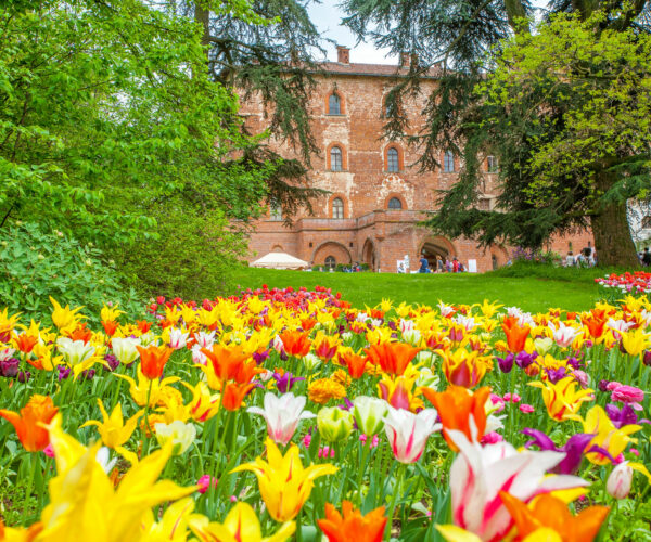 Torna Messer Tulipano al Castello di Pralormo, una meraviglia di colori!