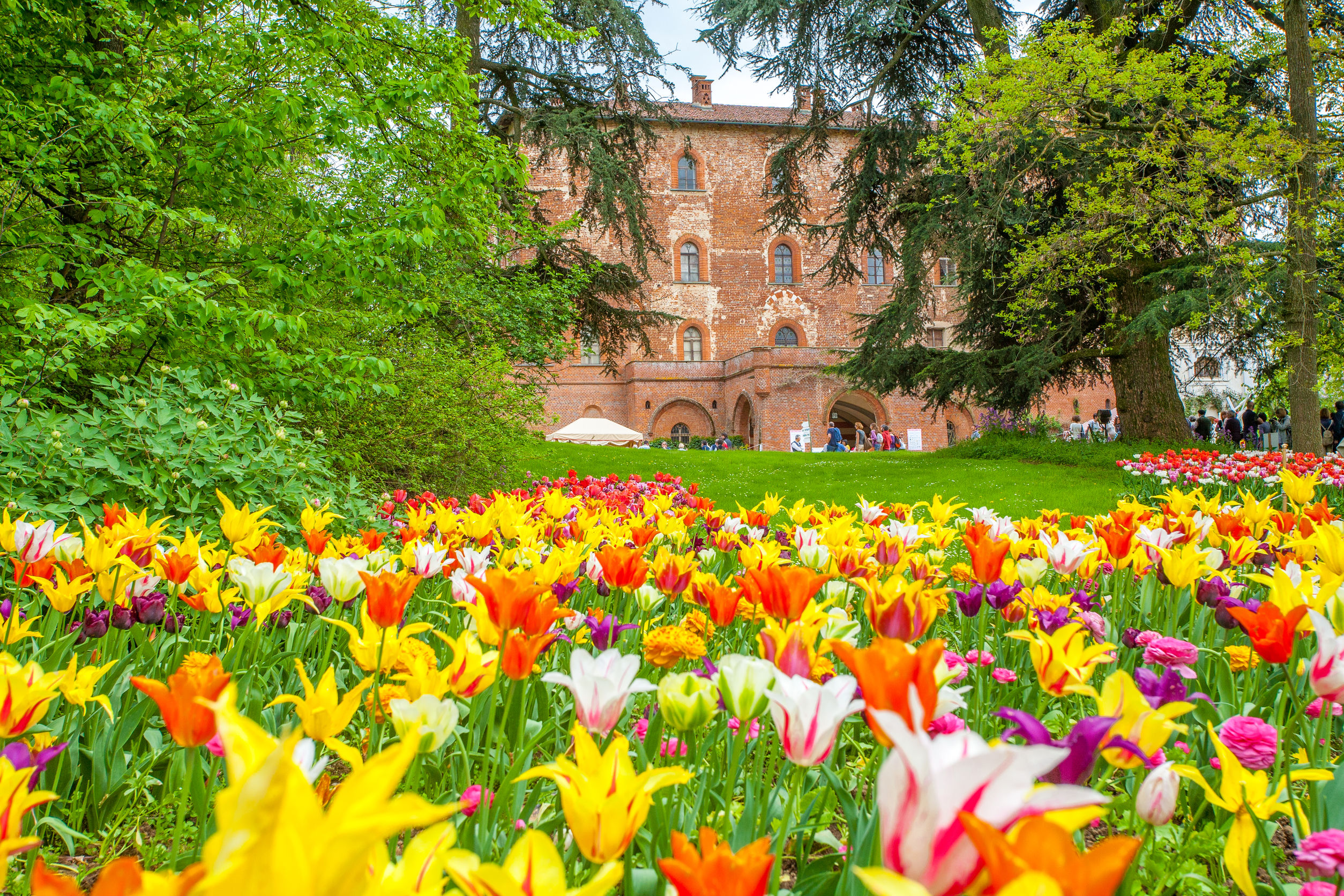 Torna Messer Tulipano al Castello di Pralormo, una meraviglia di colori!