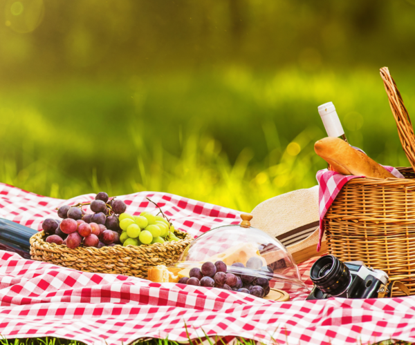 Aree Pic-Nic in Piemonte: scopri i posti più belli dove pranzare all’aria aperta