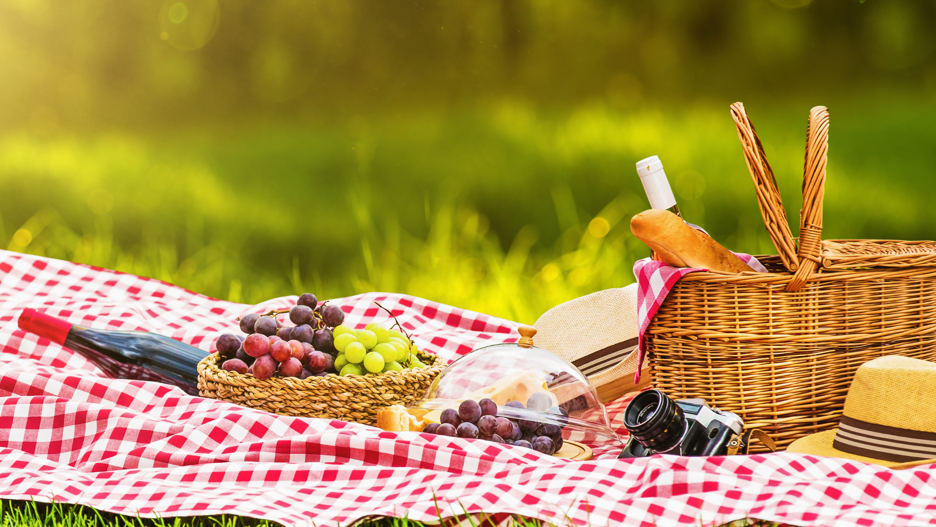 Aree Pic-Nic in Piemonte: scopri i posti più belli dove pranzare all’aria aperta