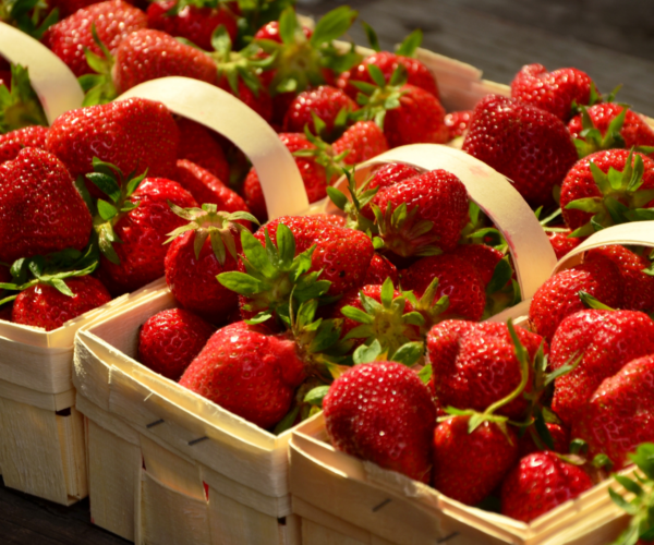 Festa delle fragole 2022 – San Mauro Torinese