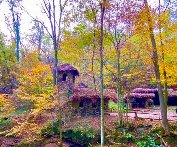 Il villaggio del Bosco del Vallino: un luogo magico e affascinante