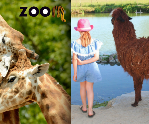 Parchi con animali in Piemonte: ecco dove vivere l’esperienza in Piemonte