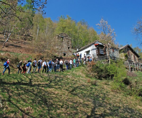 A spasso tra i terrazzamenti