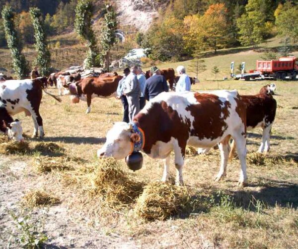 Le 10 gite da fare a ottobre 2022 in Piemonte: gli appuntamenti più interessanti dell’autunno piemontese