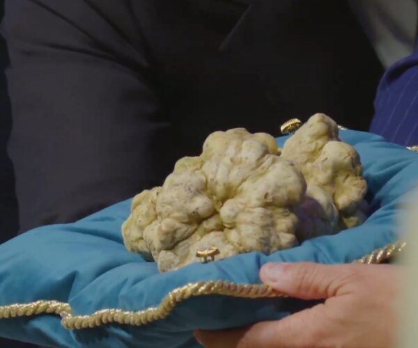 Hong Kong si aggiudica  950 grammi a 184 mila euro! Il ricavato devoluto alla ricerca sanitaria e allo sport