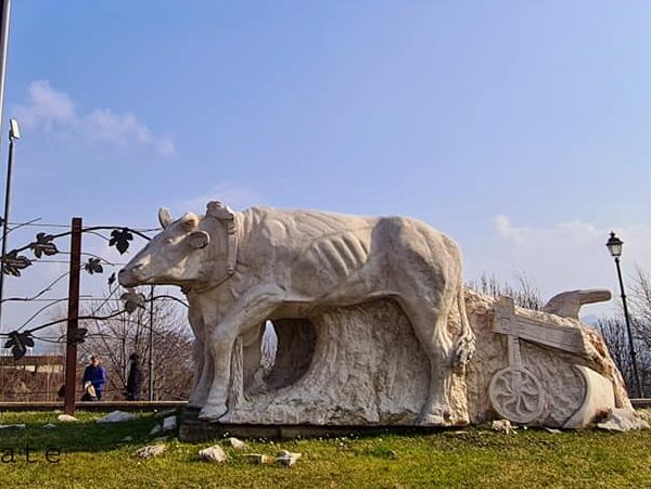 Carrù l’11 dicembre 2025 si sveglia all’alba per la Fiera del Bue Grasso tra tradizione e 600 kg di bollito