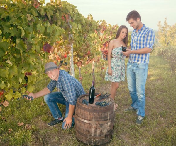 Turismo in Piemonte in ripresa: dati del 2022 confermano trend positivo