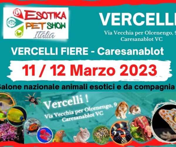 ESOTIKA PET SHOW – il salone degli animali da compagnia arriva a Vercelli