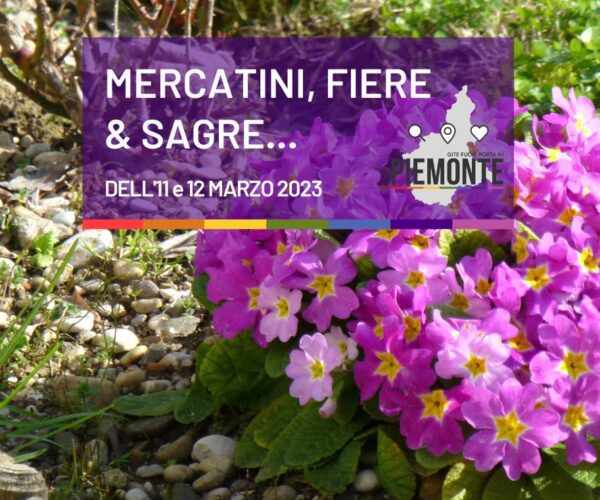 Sagre e Feste in Piemonte: cosa fare nel weekend dell’11 e 12 marzo 2023