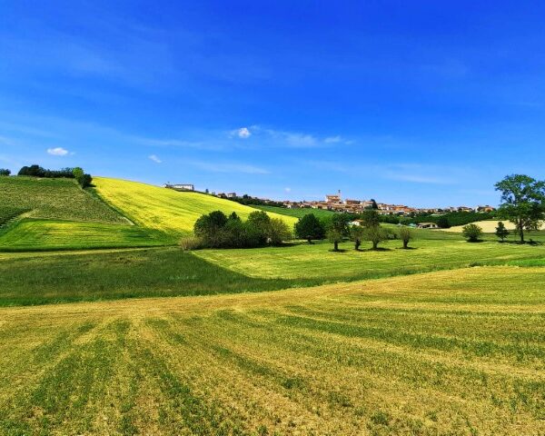 Le origini del Monferrato tra storia, mito e leggenda