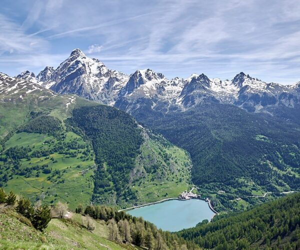 I boschi del Piemonte nella Giornata Internazionale delle Foreste