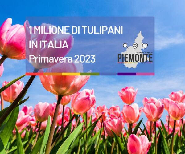 Tulipani Italiani: 1 milione di tulipani in Italia per la Primavera 2023!