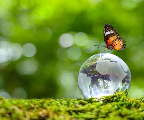 10 consigli per gite fuori porta responsabili: Earth Day Torino 2023