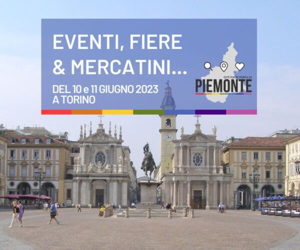 Cosa fare a Torino nel weekend del 10 e 11 giugno 2023