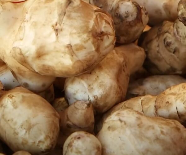 32ª Sagra Regionale del Ciapinabò di Carignano: oggi e domani due giorni di gusto, tradizione e divertimento