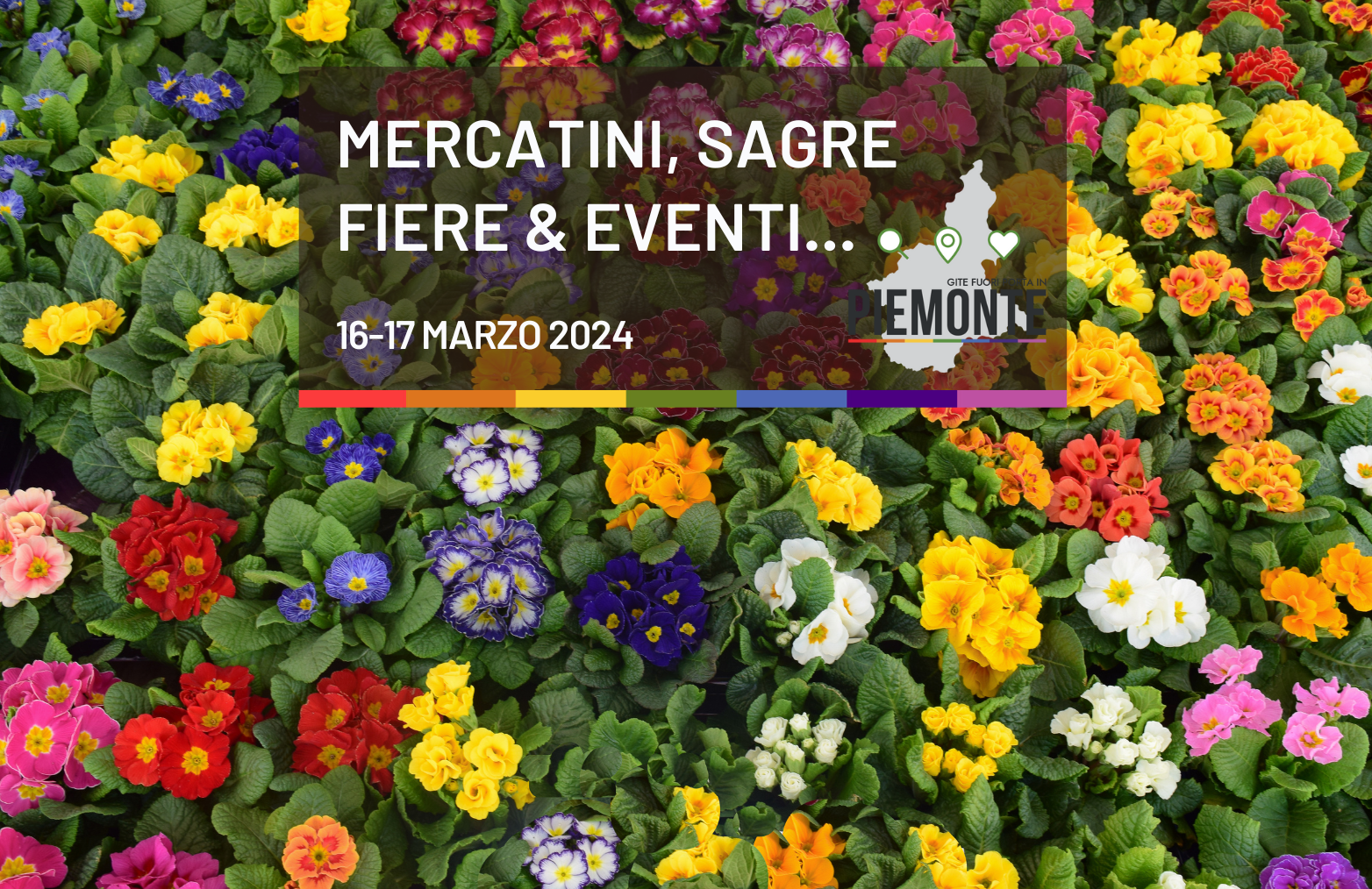 Cosa fare in Piemonte nel weekend del 16-17 marzo: tornano le sagre di primavera.