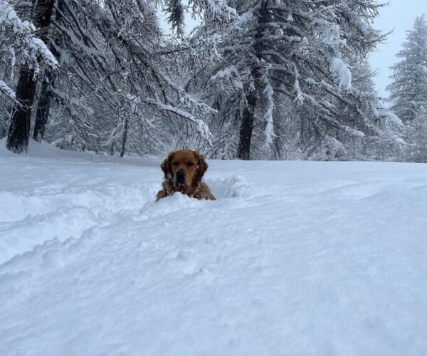 Super nevicata in Piemonte: le foto della Community di Gite Fuori porta in Piemonte