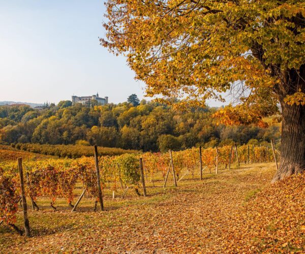 Costigliole d’Asti: storia, cultura e sapori autentici del Piemonte