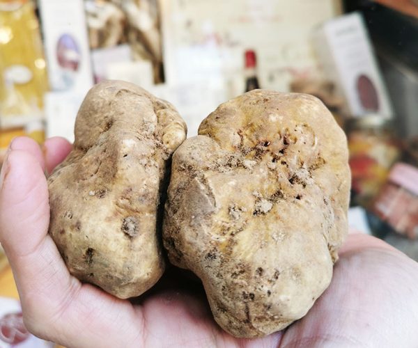 Pasto del trifulao, esposizione di tartufi, laboratori per bambini e tanto altro! Trifola D’Or vi attende il 16 Novembre a Murisengo