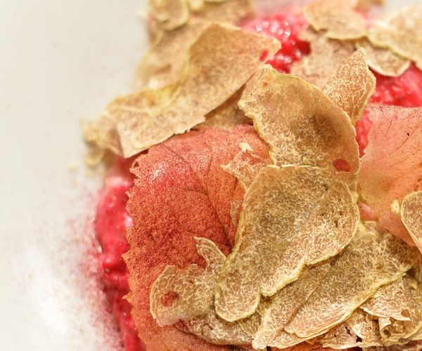 Weekend da gourmet a due passi da Torino: il tartufo bianco è protagonista, scopri il programma e prenota in tempo la cena!