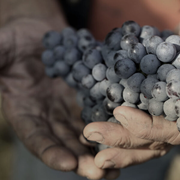 Fratelli Serio & Battista Borgogno