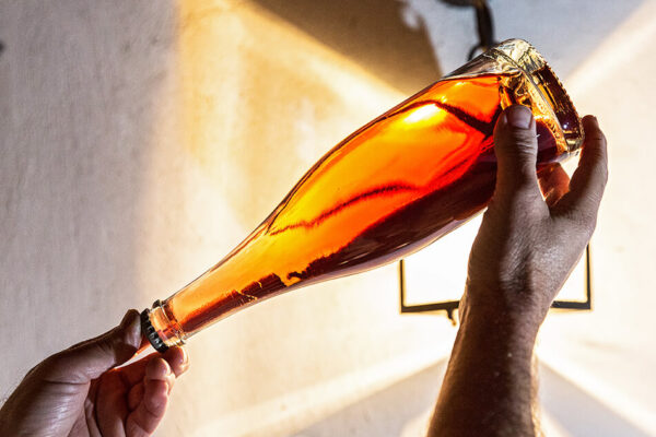 Azienda Agricola La Masera