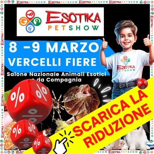 WhatsApp Image 2025-01-28 at 16.40.37