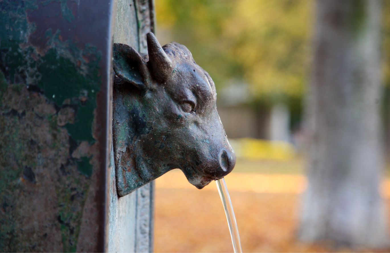 Perché il toro è il simbolo di Torino?