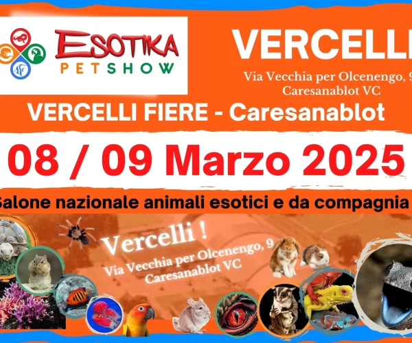 Esotika Pet Show a Vercelli: l’evento imperdibile per gli amanti degli animali esotici e da compagnia