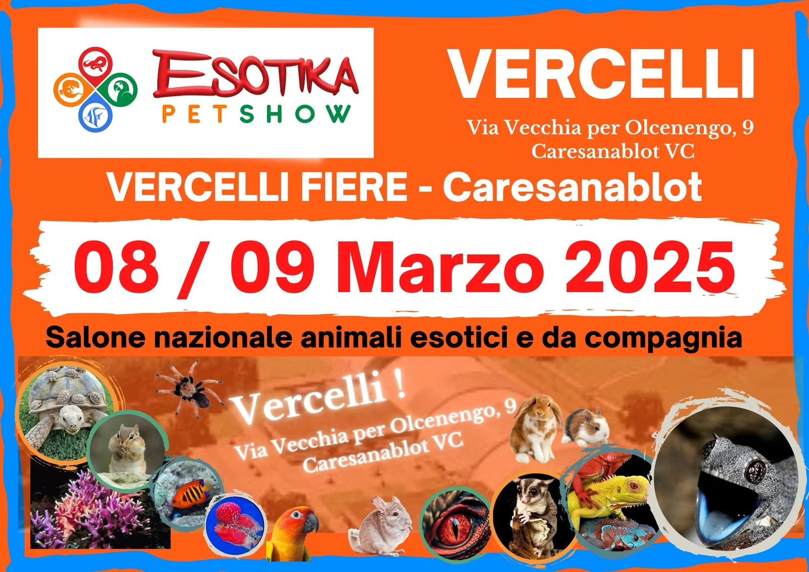 Esotika Pet Show a Vercelli: l’evento imperdibile per gli amanti degli animali esotici e da compagnia