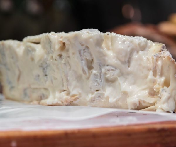 Sagra del Gorgonzola DOP 2025 a Cavallermaggiore: gusto, tradizione e divertimento dal 23 aprile al 4 maggio