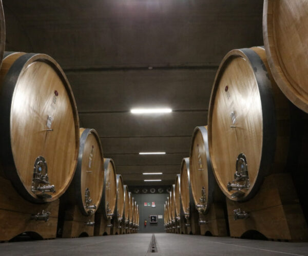 Terre del Barolo: una cantina da vivere, non solo da visitare. Dal sogno di Rivera all’esperienza della degustazione