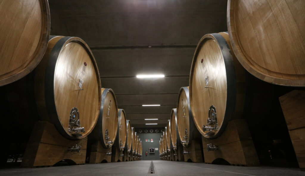 Terre del Barolo: una cantina da vivere, non solo da visitare. Dal sogno di Rivera all’esperienza della degustazione