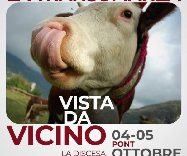 La Transumanza di Pont Canavese 2025: un viaggio nel cuore delle tradizioni alpine